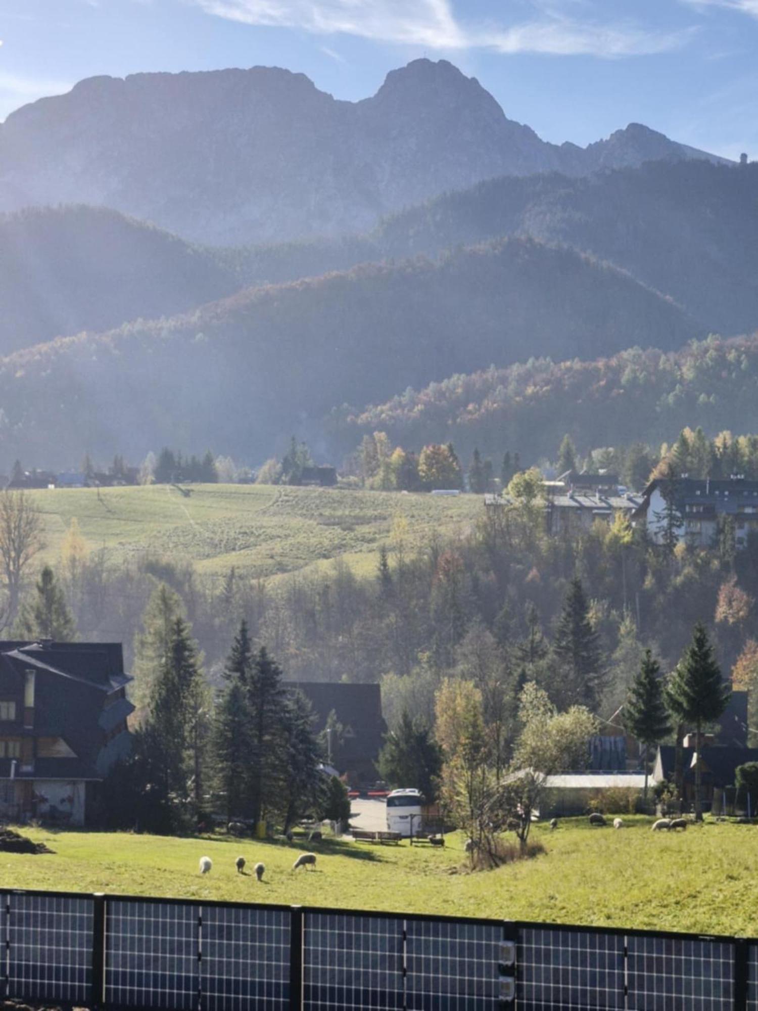 Апартаменты Good Morning Giewont & Jacuzzi Косцелиско Экстерьер фото